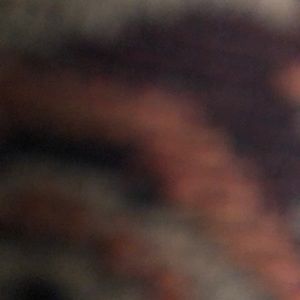 Meet your Posher, Scottlyn